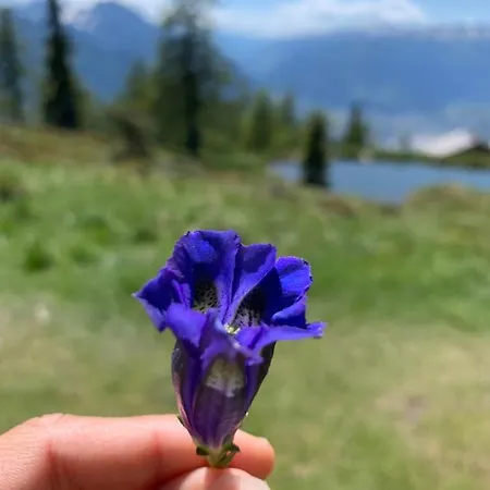 Schusterhof * Doelsach