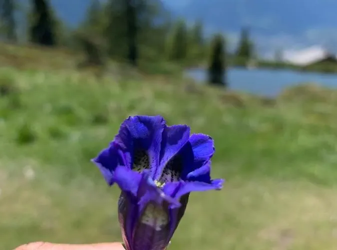 Schusterhof * Doelsach