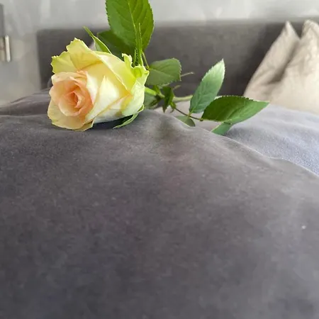 Schusterhof Bauernhof *