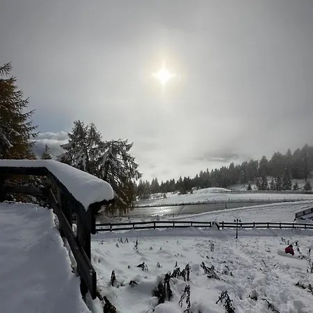 Bauernhof Schusterhof