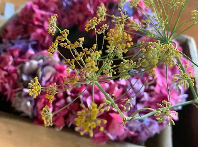 Alloggio per agriturismo Schusterhof Dölsach