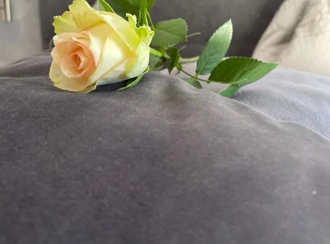 Schusterhof Alloggio per agriturismo *